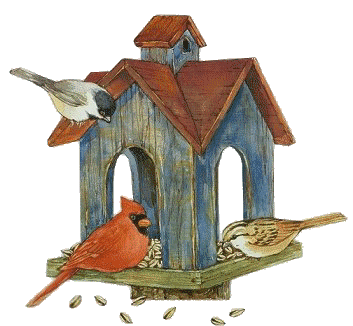 Red-roof birdhouse feeder, seeds, and three animated birds.