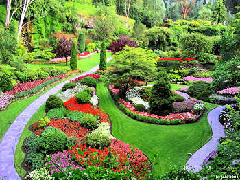 Beautiful and Inspiring Butchart gardens in Canada.