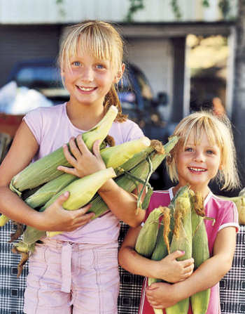 Two young girls with their arms full of corn.