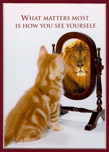 Cat looking at the mirror and seeing a lion looking back.