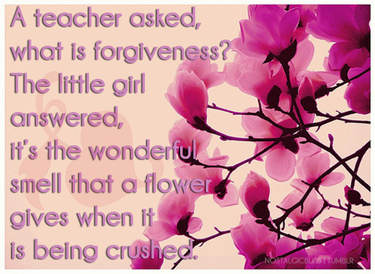 Forgiveness quote, with pretty pink flowers.
