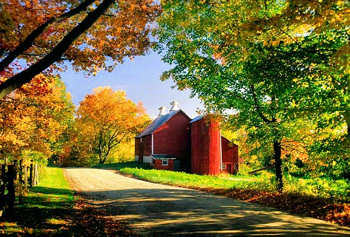 Barn and pretty scenery in the country.