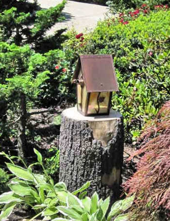 Bird feeder on a tree stump in the front yard.