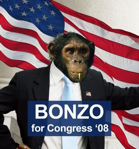 Monkey for Congress 2008.