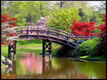 Bridge, pond and beautiful scenery.