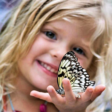Young girl marveling at the conversion of a caterpillar into a beautiful butterfly.