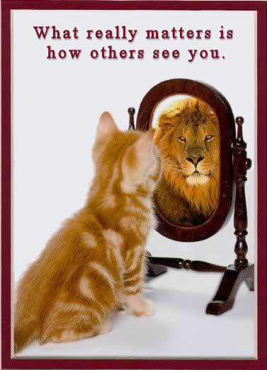 House cat looking in the mirror and seeing a lion looking back.