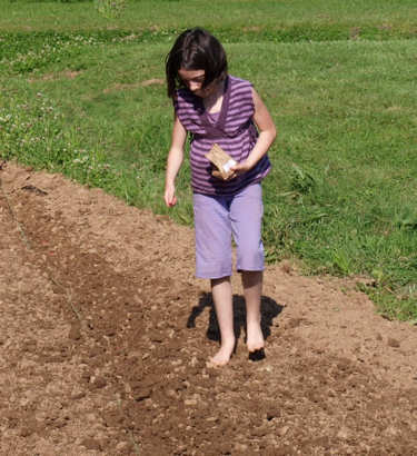Young girl planting corn by hand.