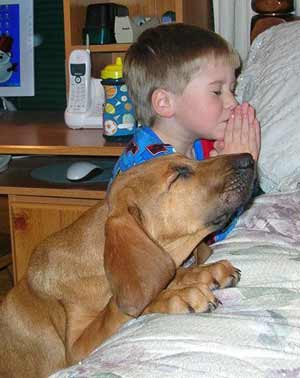 Praying Dog and Boy