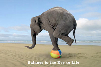 Elephant balancing on a beach-ball.