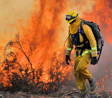 Firefighter in a brush fire.