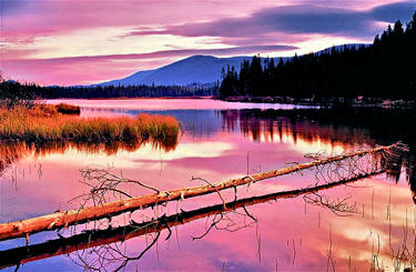 A beautiful gentle dawn as pink hues cast shadows across the water.