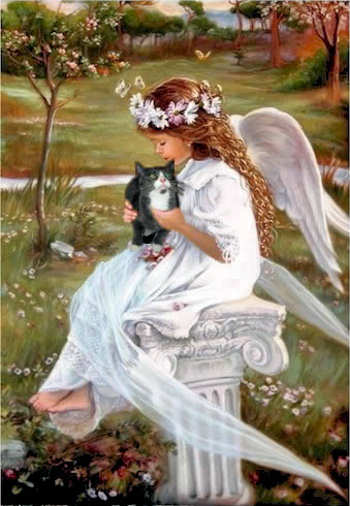 Young girl angel and kitten sitting on a outdor bench in heaven.