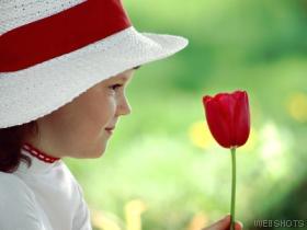 Young girl holding and admiring a single flower.