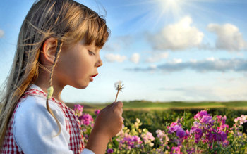 Young girl blowing on a flower, in a field of flowers.
