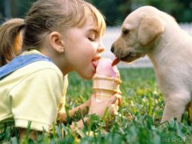 Young girl and puppy licking an ice cream cone.