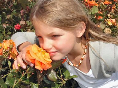Girl smelling a beautiful rose.