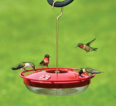 Four hummingbirds at a red bird feeder.
