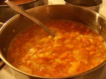 A Pot of Jam - Apricot.