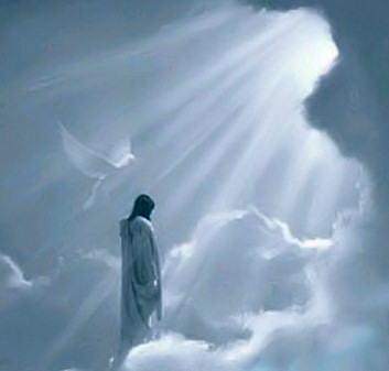 Heavenly Light, Jesus, Bird.