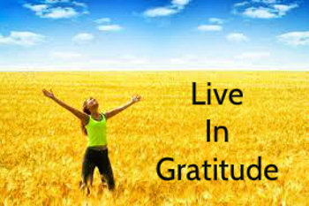 Young woman standing in a wheat field, with arms raise high, giving thanks - message: 'live in gratitude'.