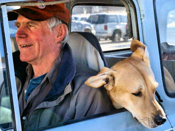 Old man in his truck, with his dog.
