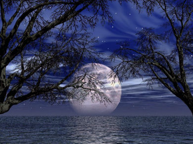 Moon setting into the water./p>
<!---HIDE-ME--->

<div class=