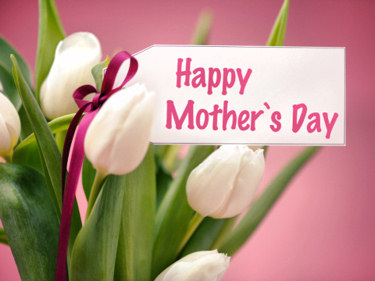 A photo of beautiful white tulips, with a pink background, for Mother's day.
