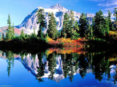 Beautiful snowcapped mountain, covered with trees and flowers, reflecting in the lake.