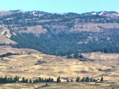Winchester Grade, in mountains of Northern Idaho.