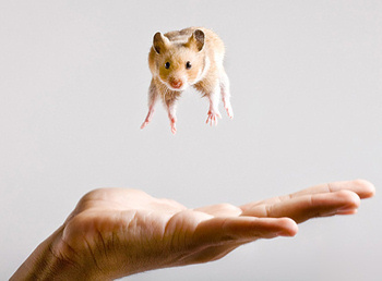 Mouse looking like it is floating above a man's hand.