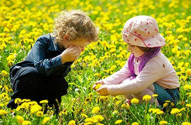 Young boy and girl making friends in a yellow flower patch.