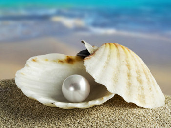 Photo of an oyster shell and the beautiful pearl, that was created from an irritant in the oyster.