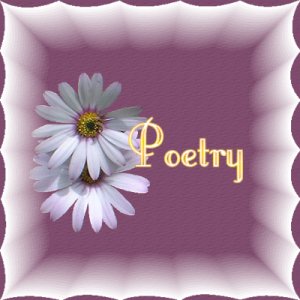 Poppy's Poetry - Random Order