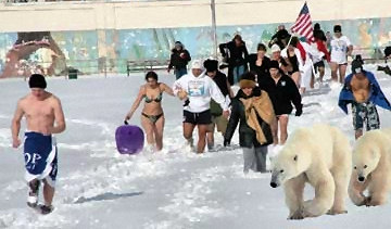 Polar bear club members walking in the snow, some wearing only swim suits, with two live polar bears.