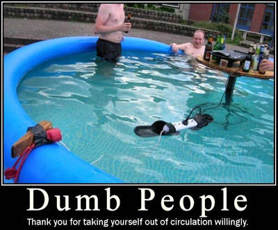 Two men in a pool with a electrical power strip floating in the pool with them, that's conected to a electric cooker.