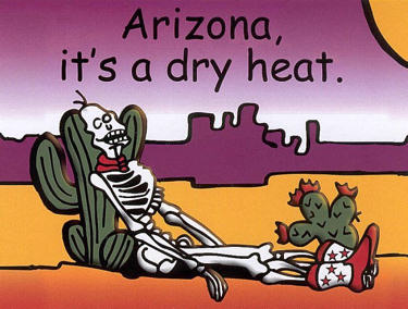 Humorous picture of a skeleton resting against a cactus in the desert - saying: it's a dry heat.
