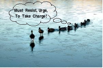 Nine ducks in a row following the leader, with a thought from from one of the ducks - 'Must resist urge to take charge'.
